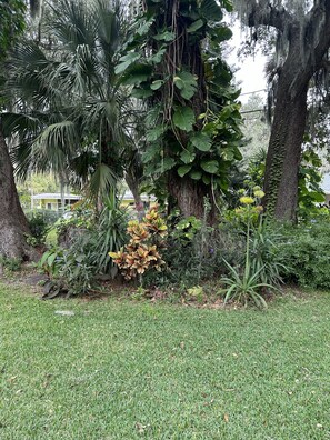 Jardines del alojamiento