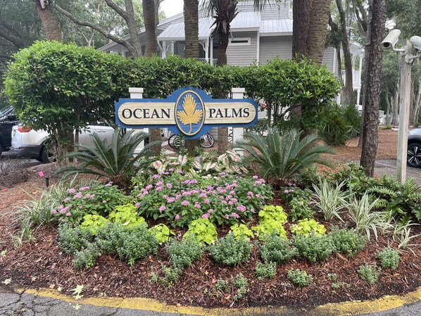 Welcome to Ocean Palms!
