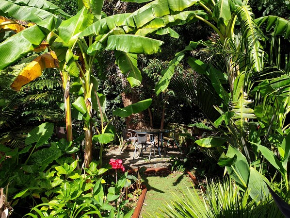 Nestled in the luxuriant tropical garden is dining area for exclusive use by our guests. 
