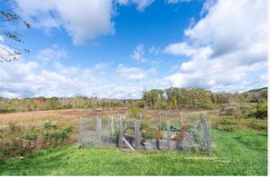 The vegetable garden, beautiful and productive.