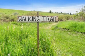 Small group of trails passing through the meadow to the back scenic viewing hill
