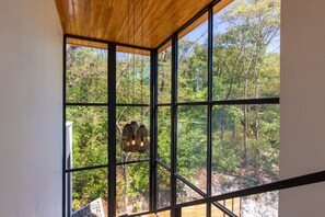 Views of the jungle