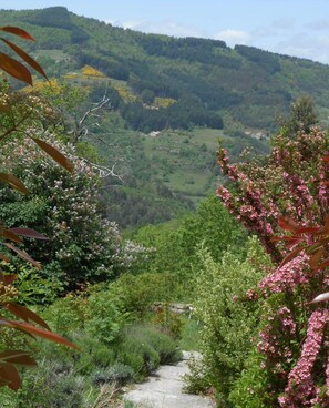 Vue extérieur paysage nature