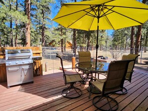 Back patio (recently repainted deck) has grill and propane fire pit