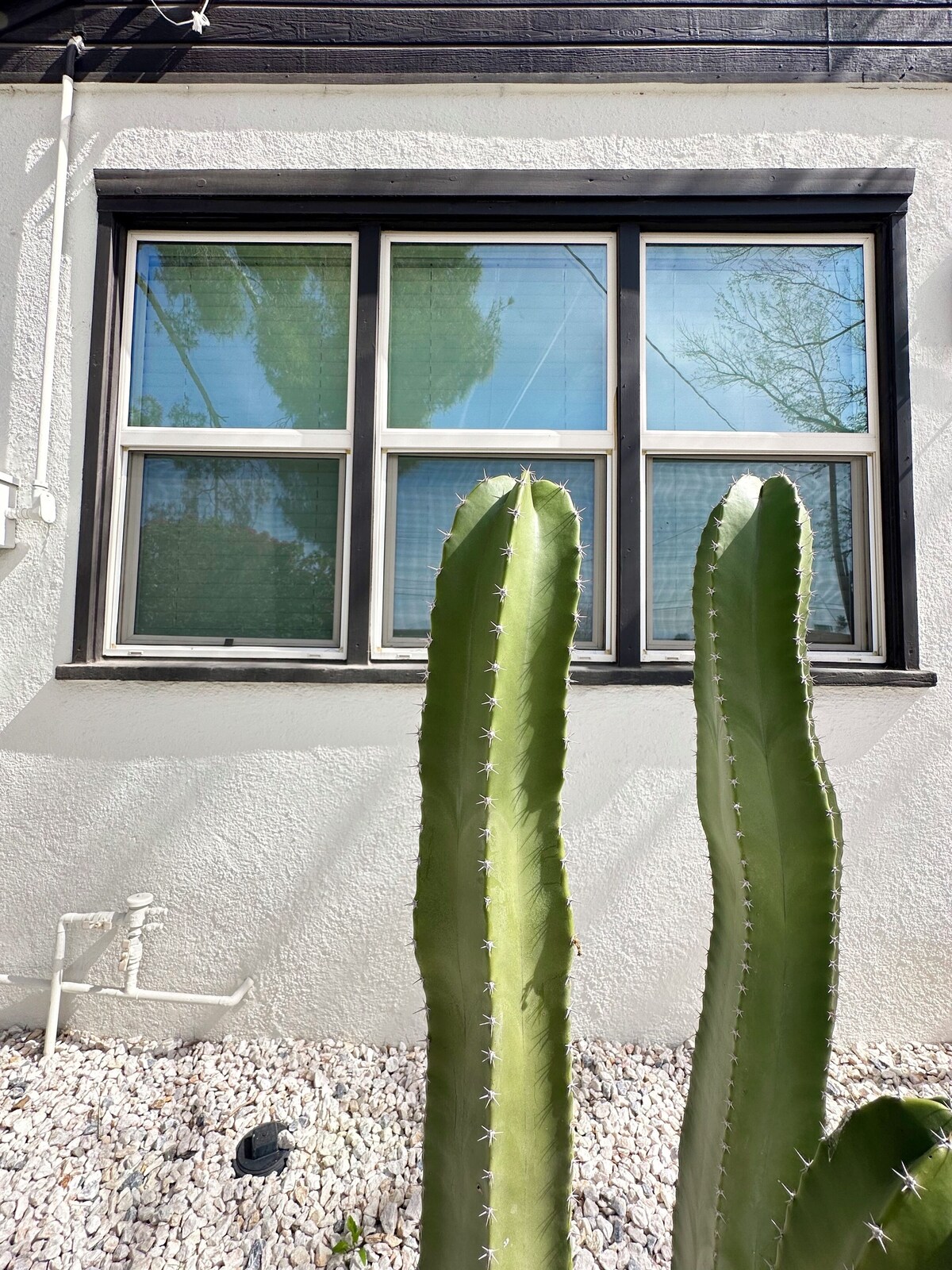 Modern DT Historic Getaway with Cowboy Pool