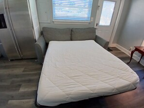 Sleeper sofa - Living Room