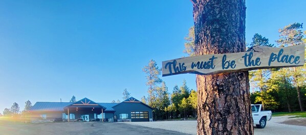 "This must be the place" 