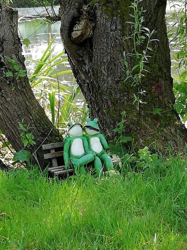 Overnatningsstedets område
