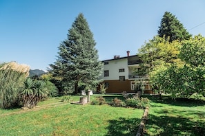 Vila Labod and green surroundings