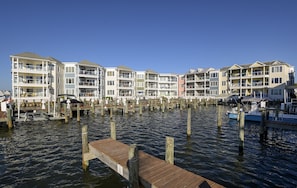 Fish, Crab, and Kayak - right in your own backyard!