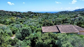 dji_fly_20240521_142052_80_1716294063768_photo_optimized~2