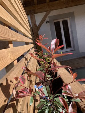 Außendetails