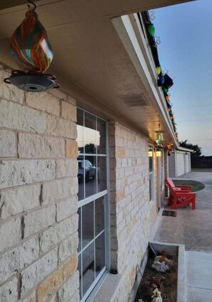 Watch the hummingbirds feed all day. It is such a beautiful sight to see. 