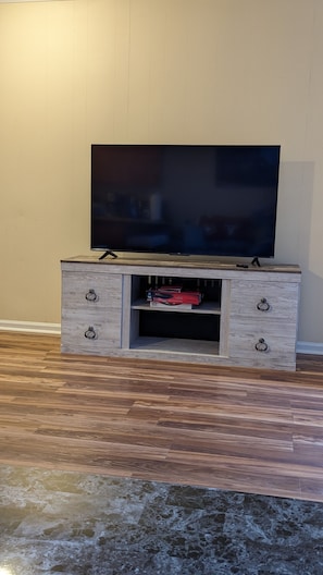 55 inch TV and DVD Player
