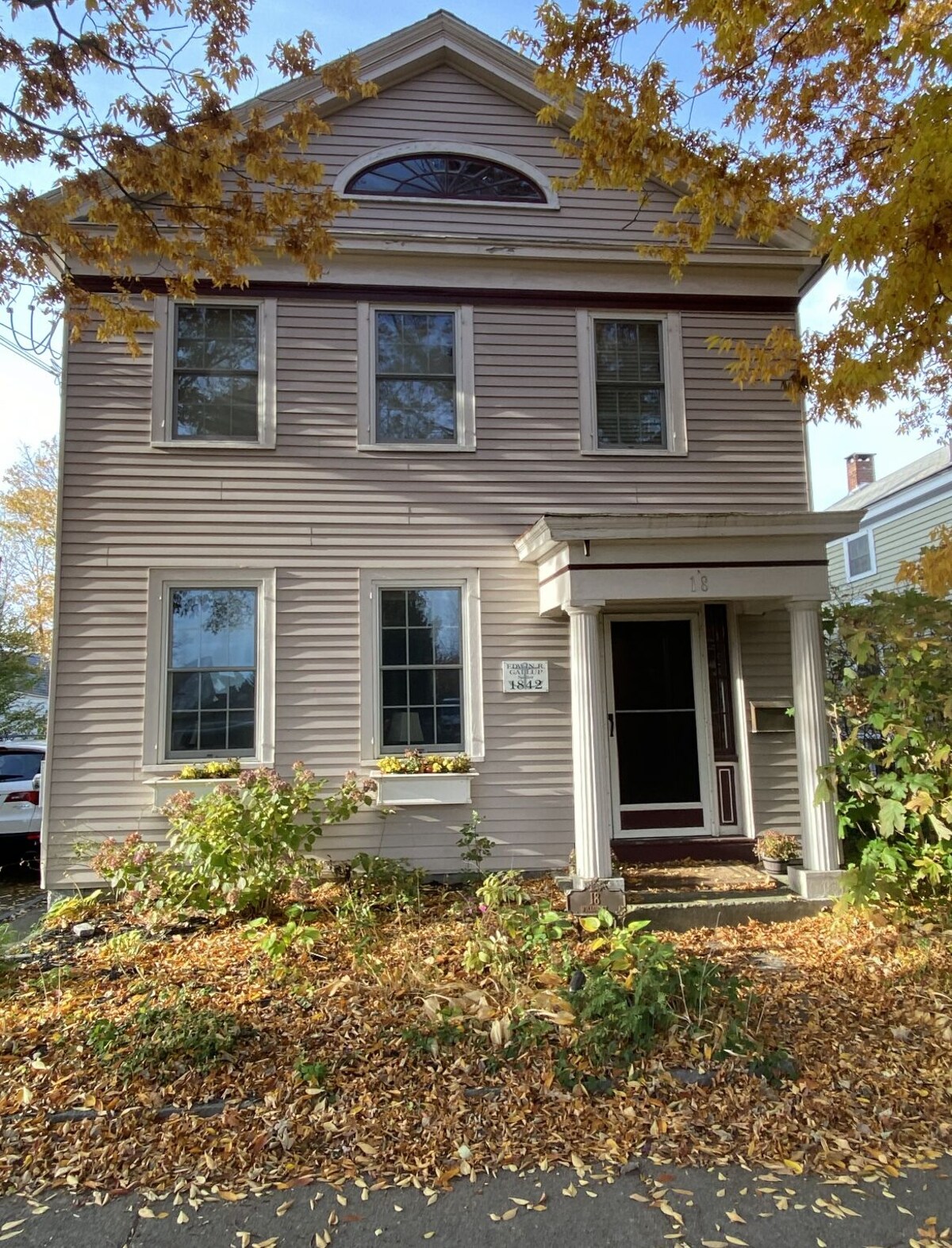 Main Image