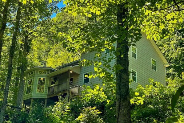 Main Cabin