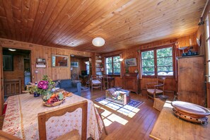 Salon et salle à manger rustique et agreable