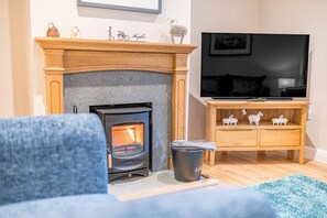 Summerbank Cottage log burning stove