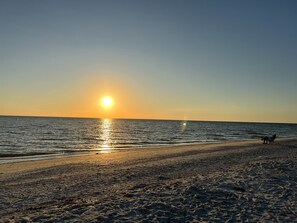 Captivating sunsets