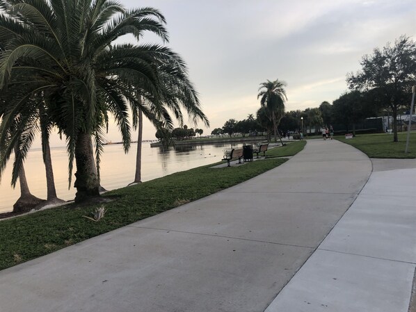 St pete Trail just mile from house