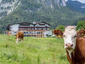 Gasthaus Hotel Rieder