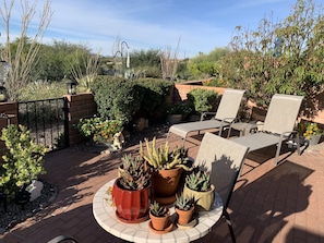 Nature, Outdoors, Yard, Chair, Furniture