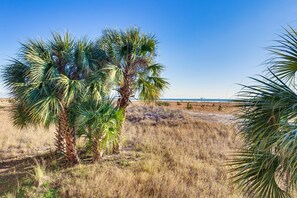 Balcony View | Beach Access On-Site