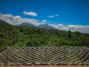 Terrenos do alojamento