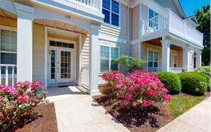 Roses in bloom at the Front Door