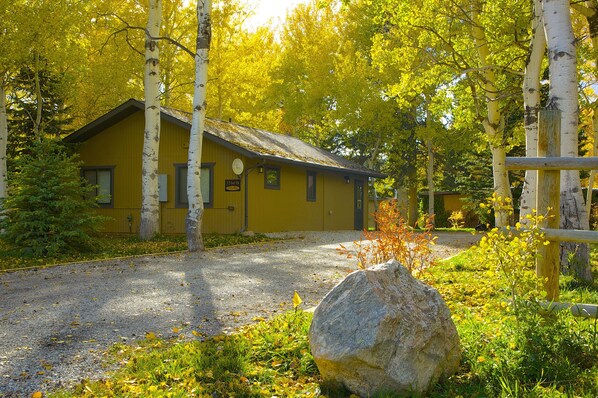 driveway into cabin