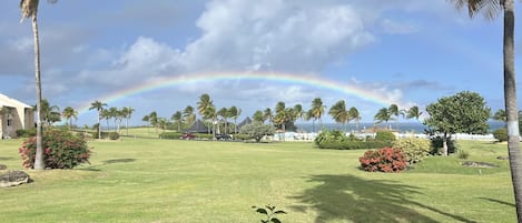 View from screen porch