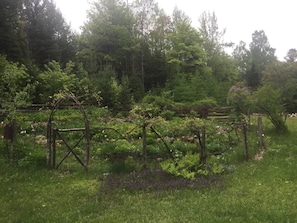 Garden. 
