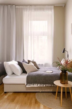 Convertible sofa bed in the main room