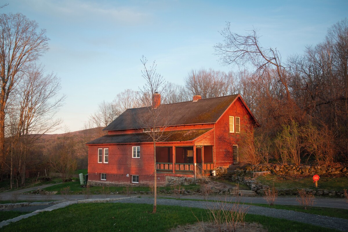 Main Image