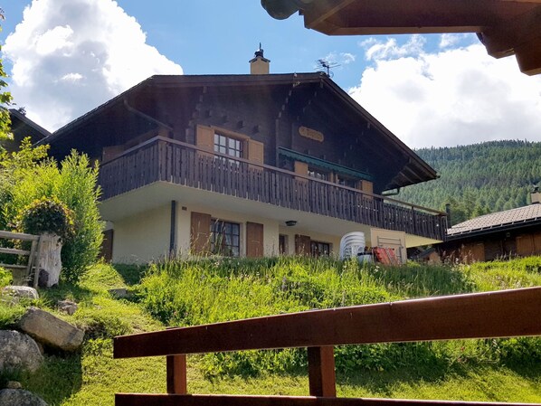 Exteriör