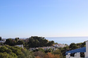 Beach/ocean view