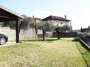 Picture 6