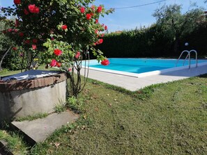 Autumn, Pool, Spring, Summer