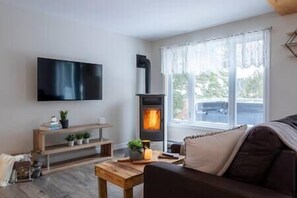 Living room with wood stove (2)