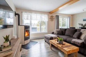 Living room with wood stove (1)