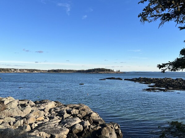 Panoramic Views from the Shore