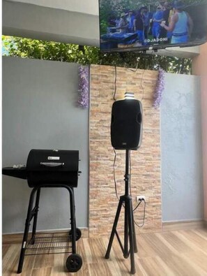 Television