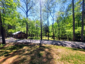 View from front porch of cabin.