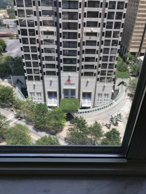Window View from Bedroom