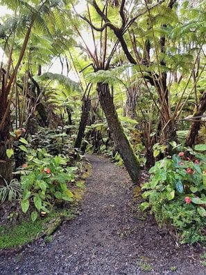 Gravel trail that Leads to the back building where The Hapu’u Room is located.
