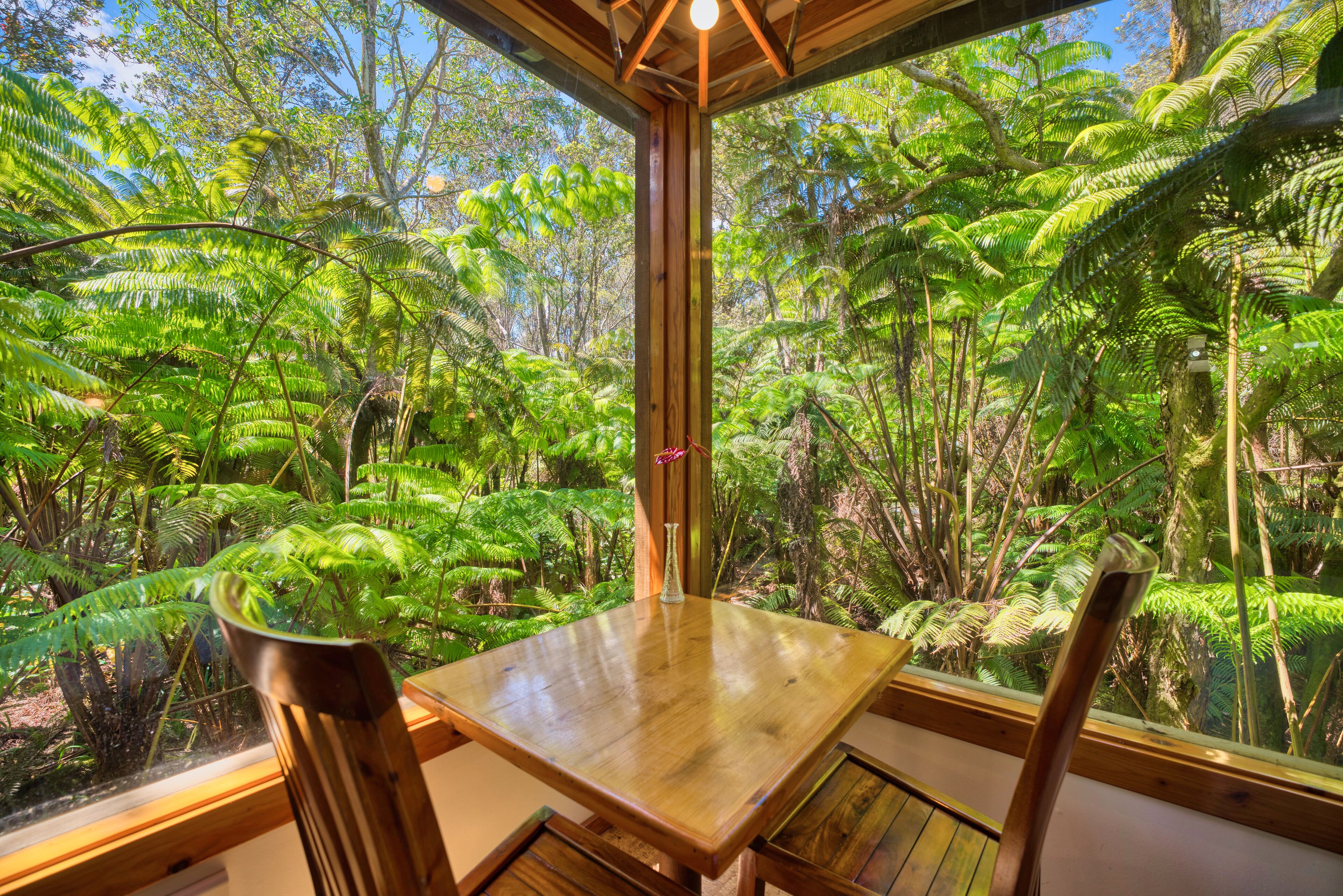 Tropical 1-bedroom cabin. Five minute drive to Hawaii Tropical 1-bedroom cabin. Five minute drive to Hawaii