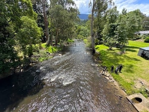 The famous Yarra River is located just across the road. 