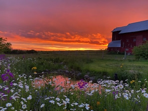 Unbelievable sunsets are an almost daily occurrence here