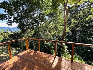 The deck provides a serene outlook onto native forest with glimpses of the bay