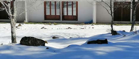 Exteriör
